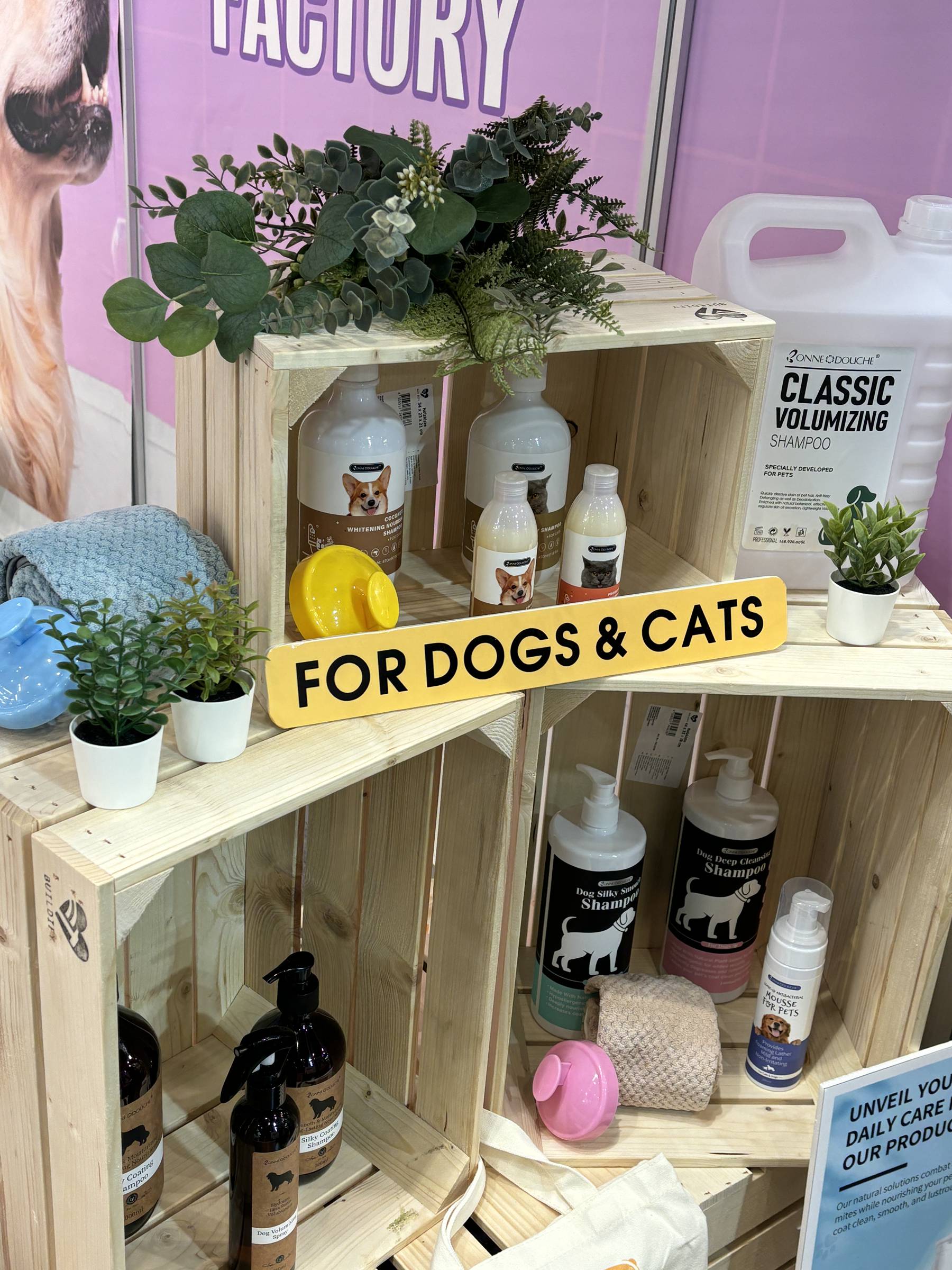 Pet Care